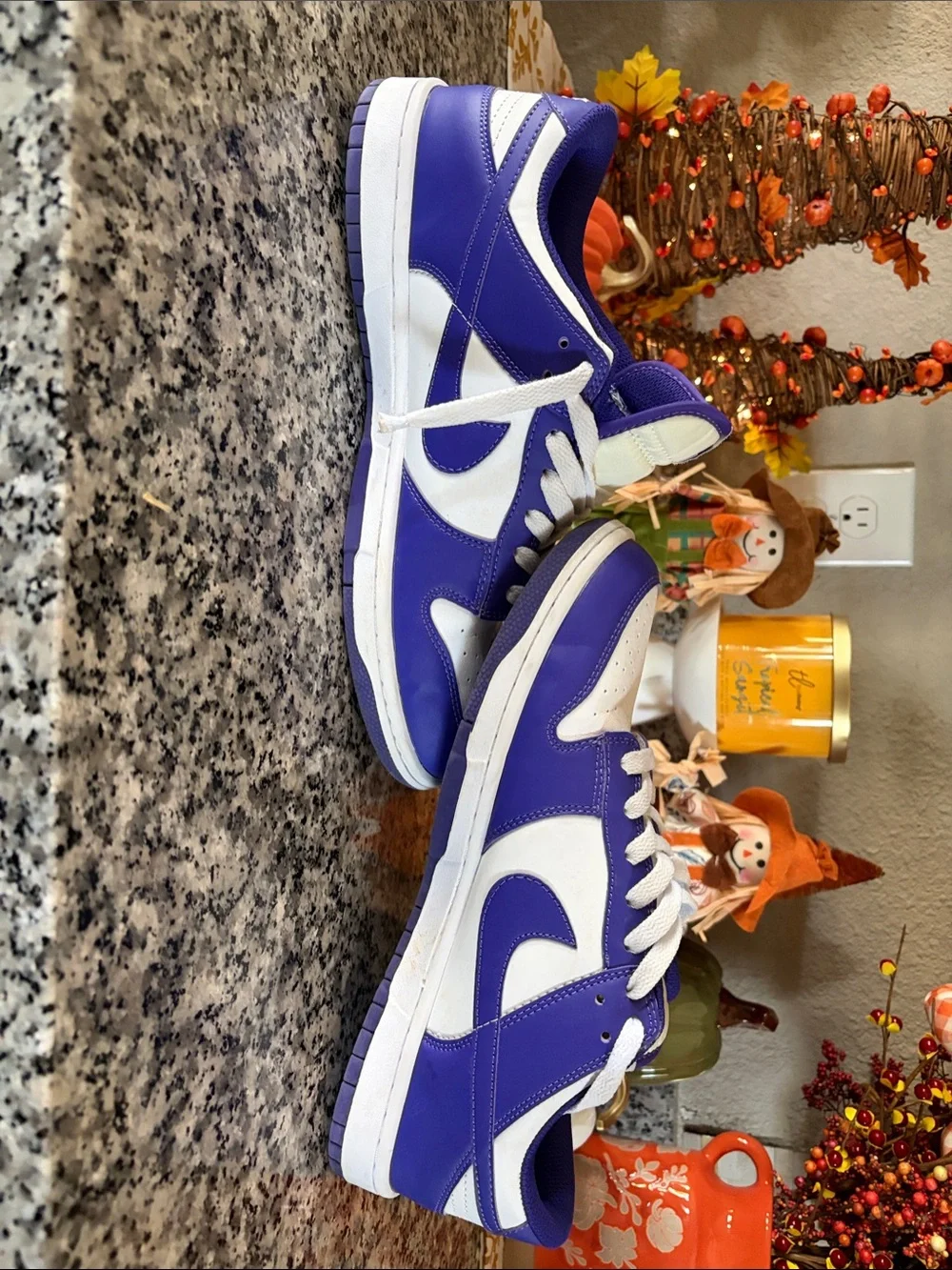 Nike Low-Top Sneakers in Purple and White